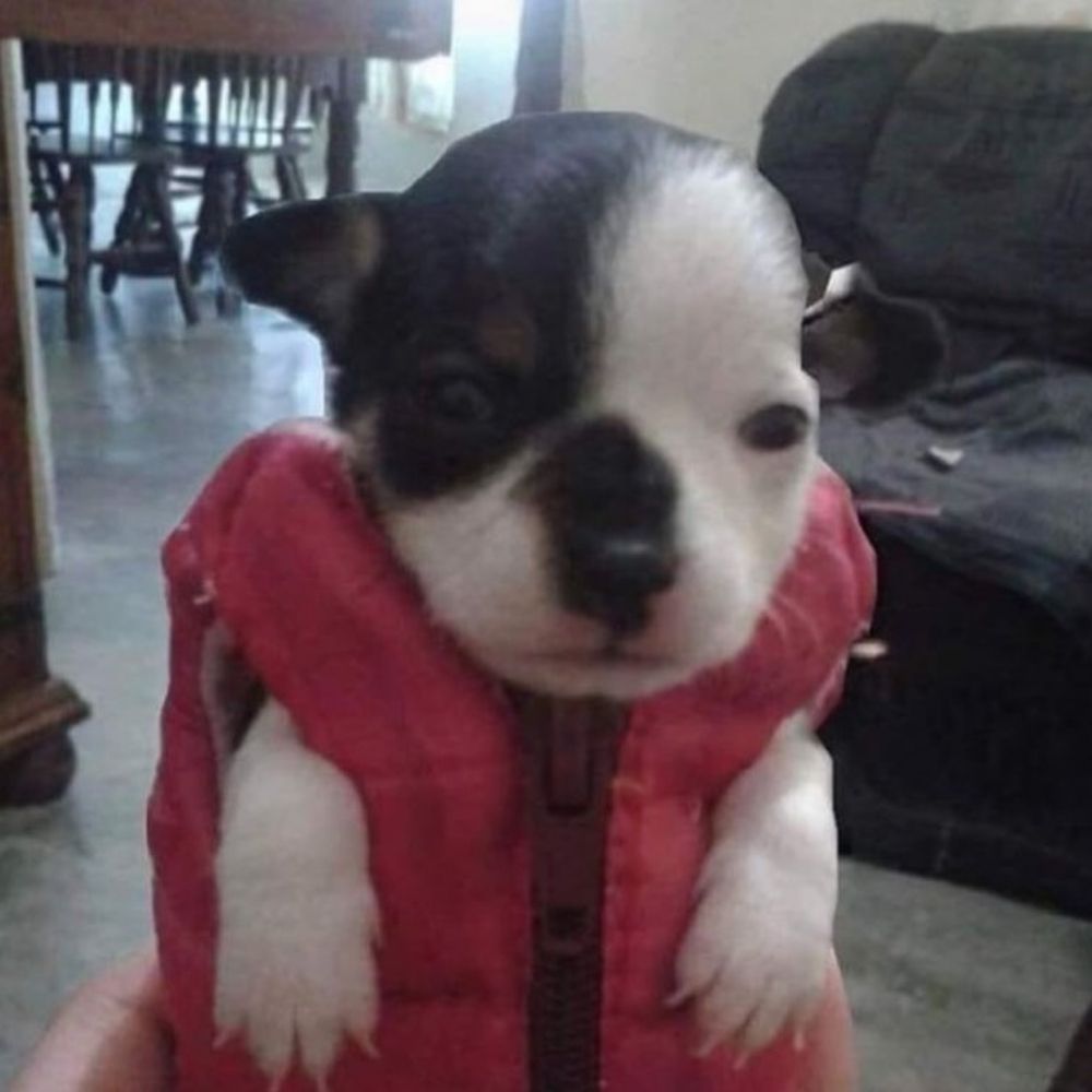 bebe do eraserhead