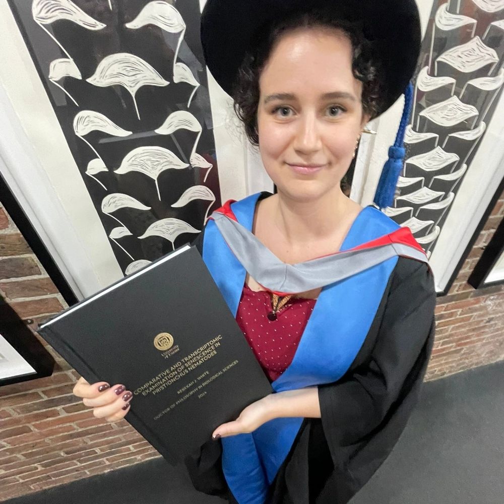 Rebekah J. White, PhD