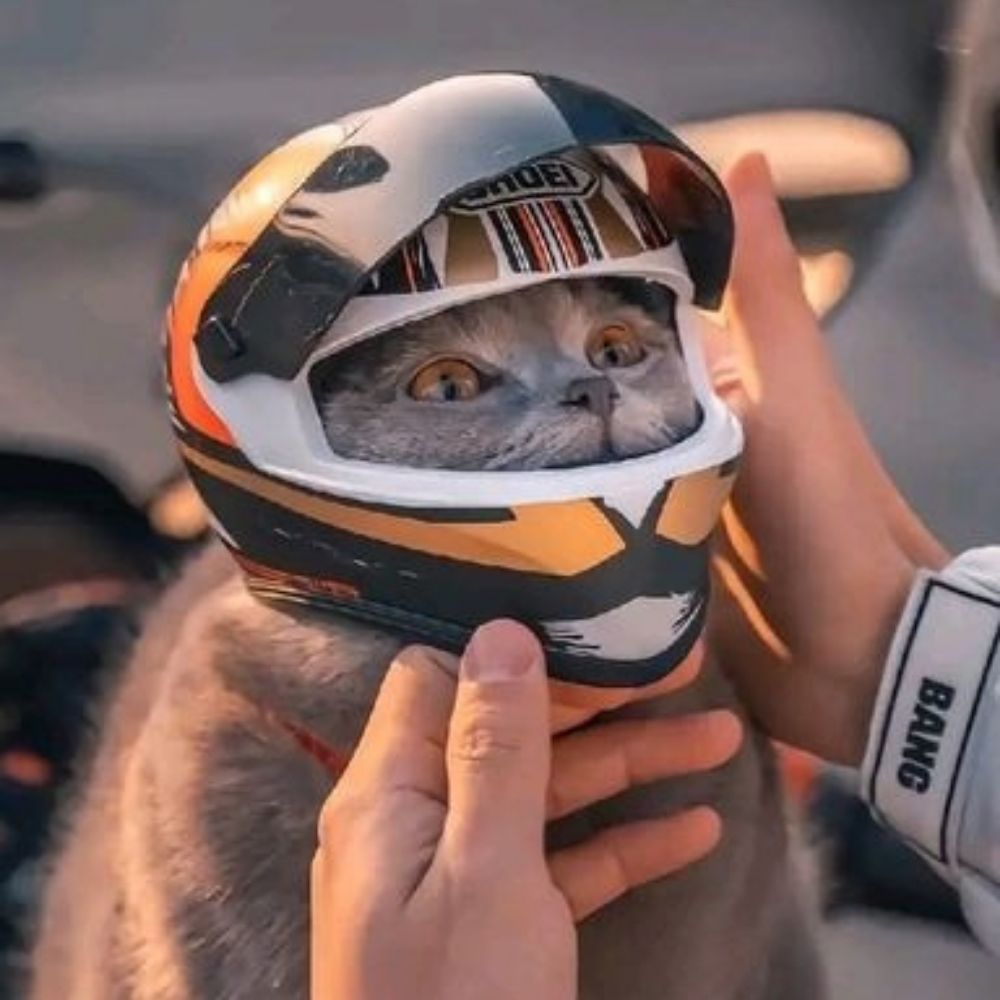 Carol📖🏍️