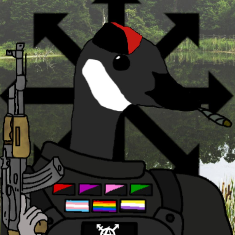 Ⓐnarchist Goose ❋🏴🌲