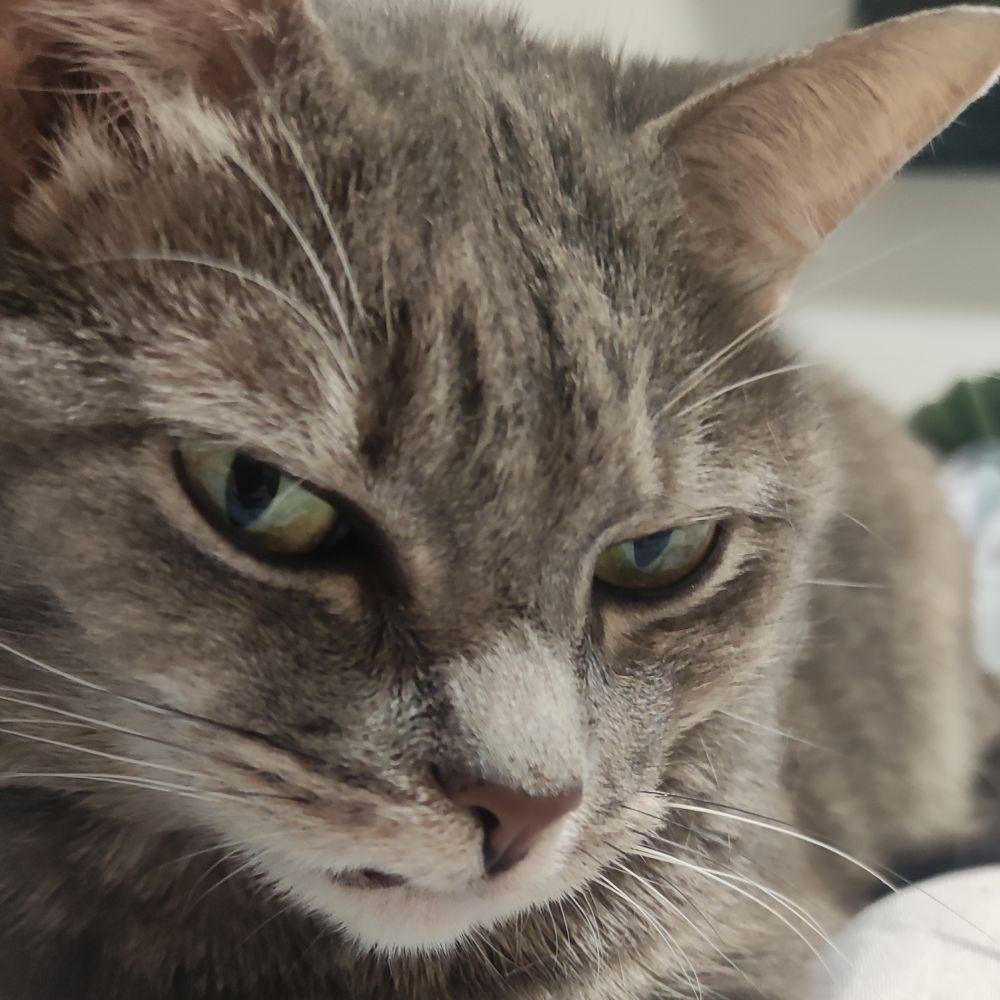 gabikirinus.bsky.social