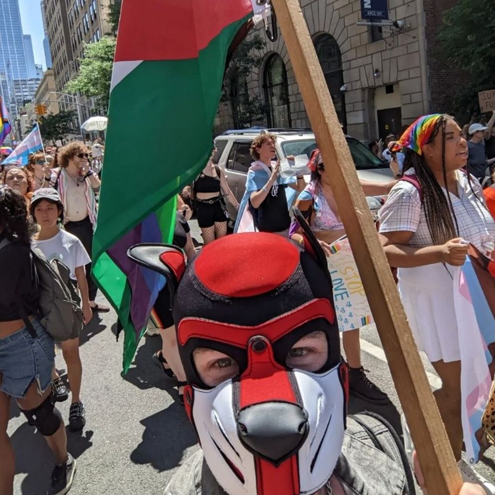Pup Mischief (they/them) 🇵🇸