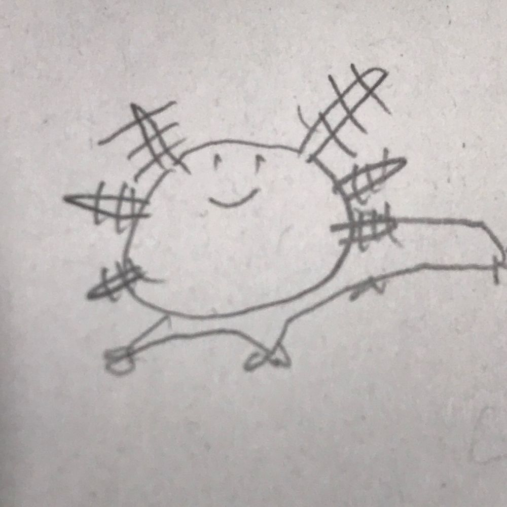 もふこ