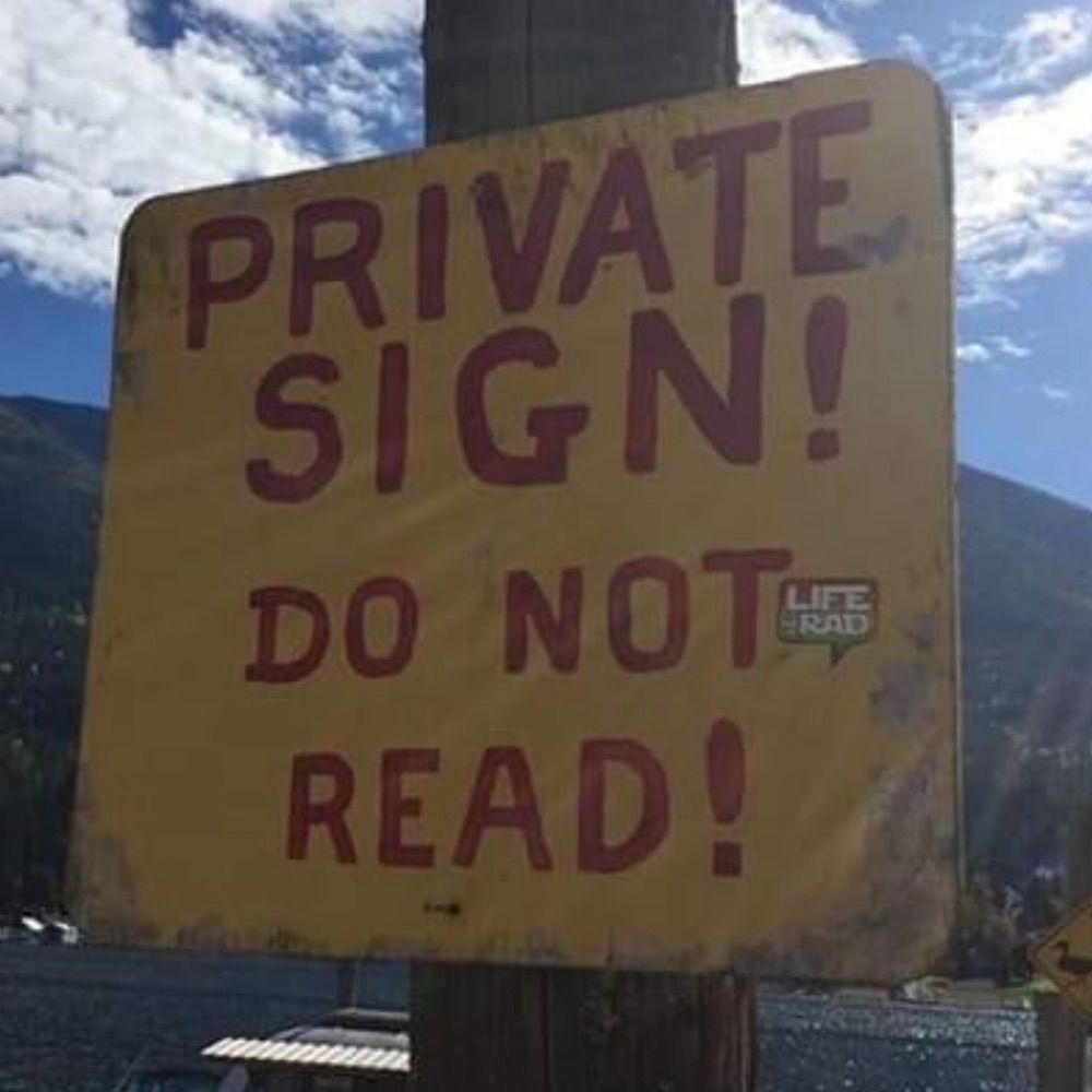 thebeachmarn.bsky.social