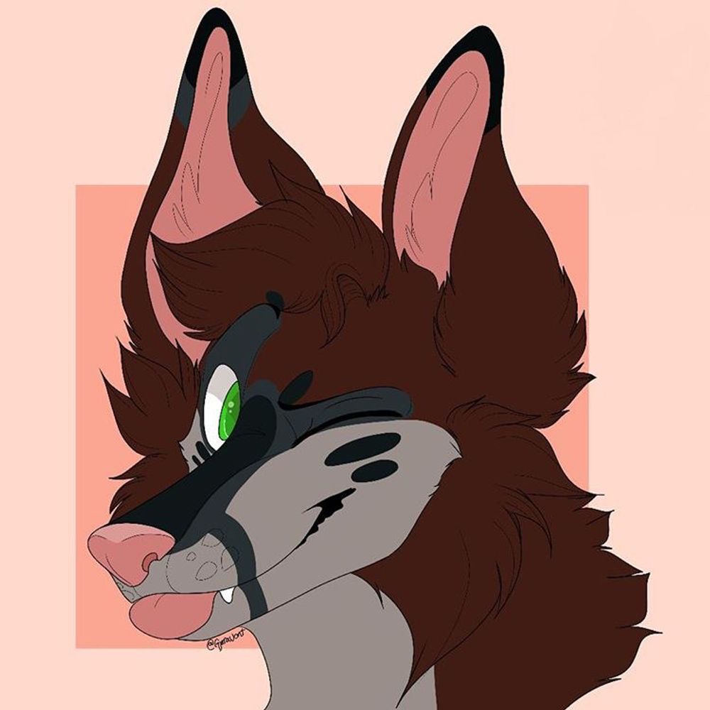 Ricaro Coyote