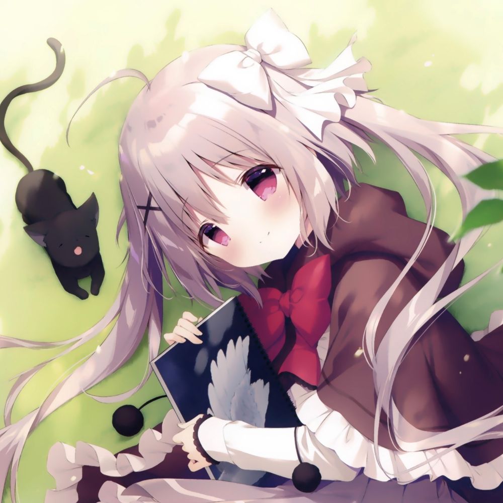 elva ⋆˙⟡