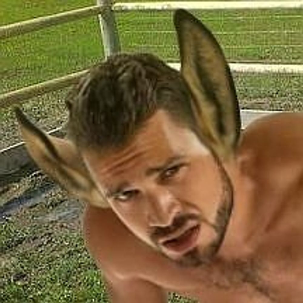 AndresTfs