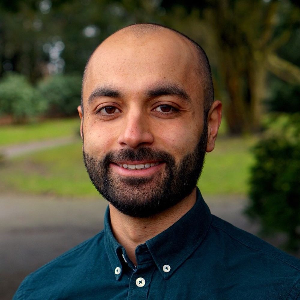 Saeed Amirjalayer