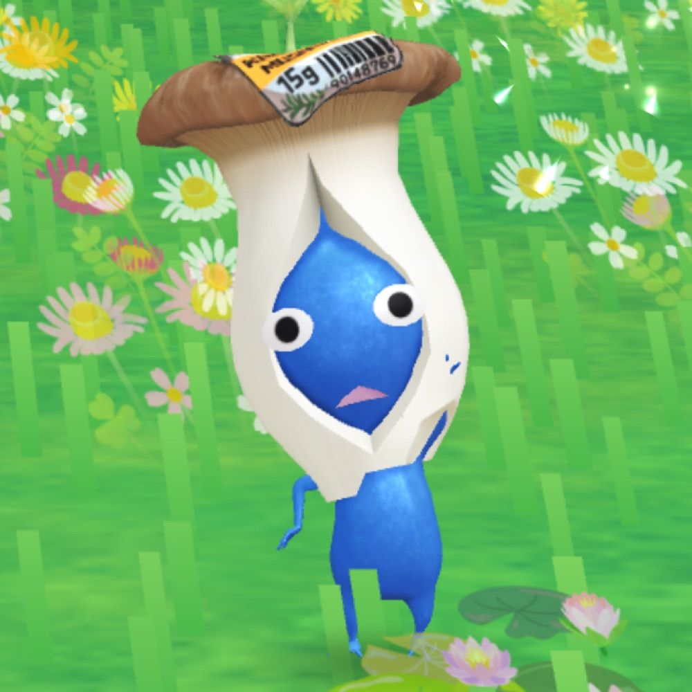 희장