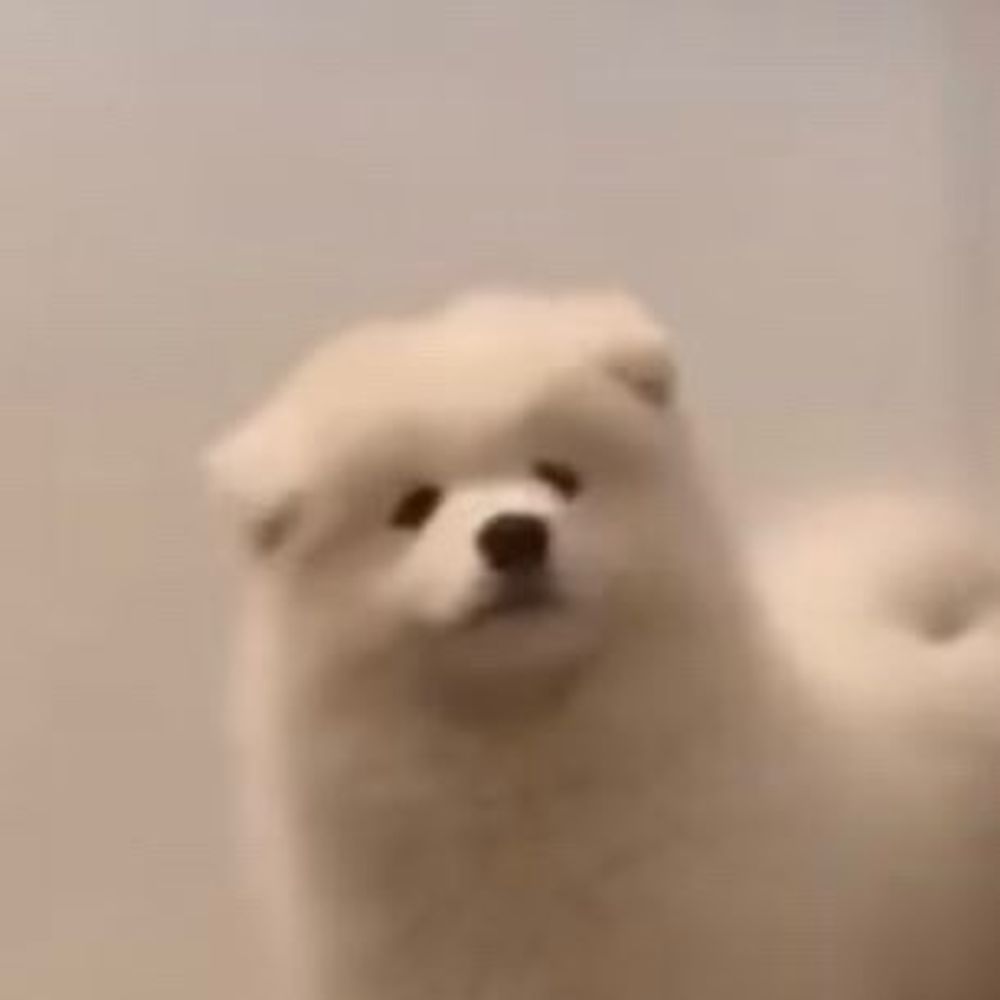 bog