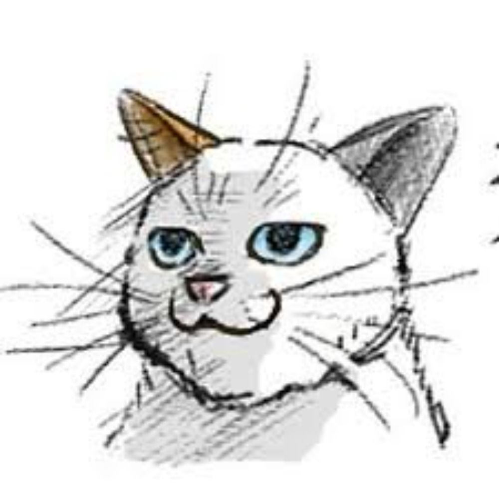 こうしえん/蓋野球情報技術研