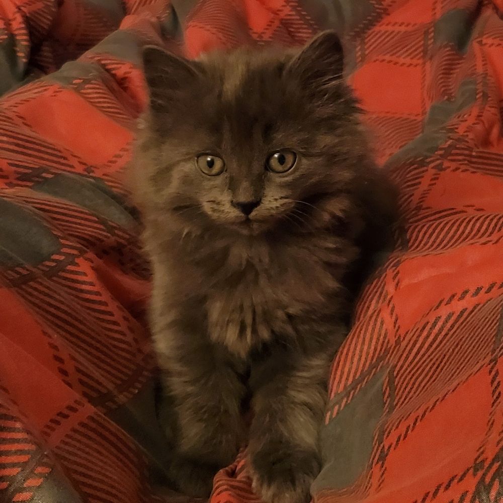 Ms. Marlene