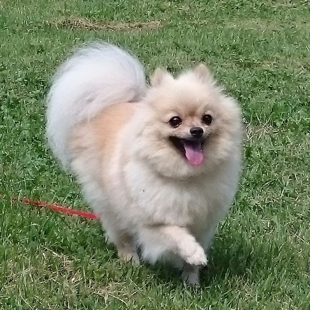 岡﨑 晴輝