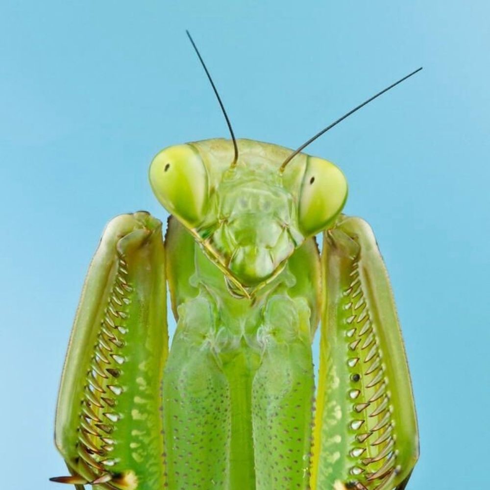 typebug (!)🌾🌀