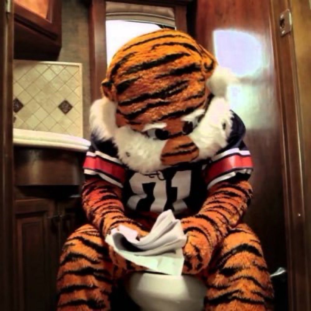 Drunk Aubie