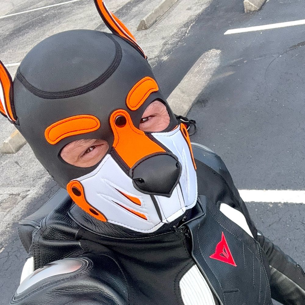 Pup Kaos