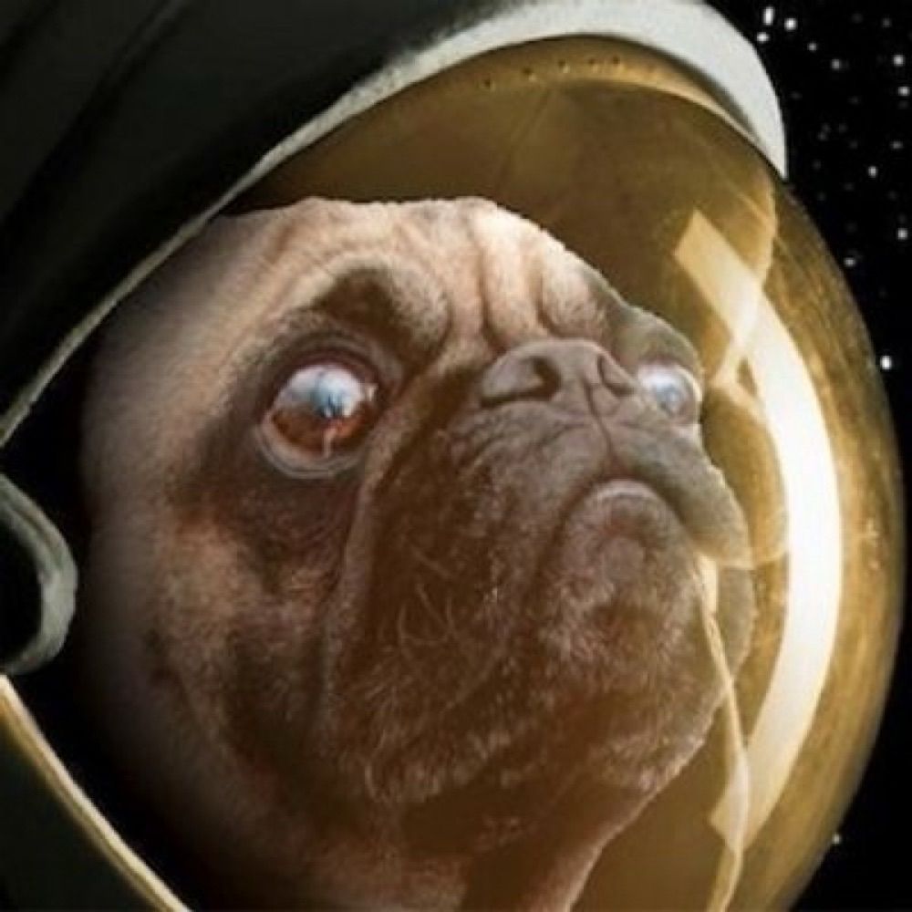 Pugapunku