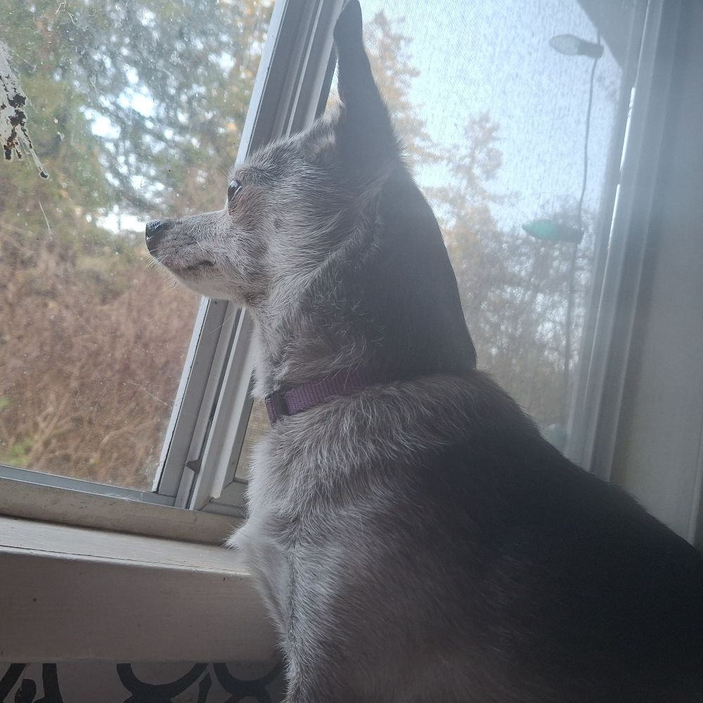 Ms.Vera (aka Maggie Blue) 🇨🇦 🇺🇦 🇮🇪 🇵🇱 🇬🇧🌈💙🔥📎