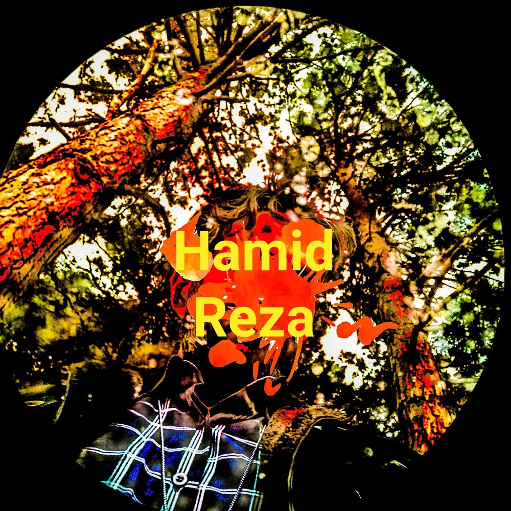  Hamidreza RK