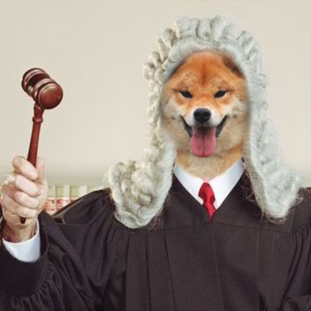The Hague Fella