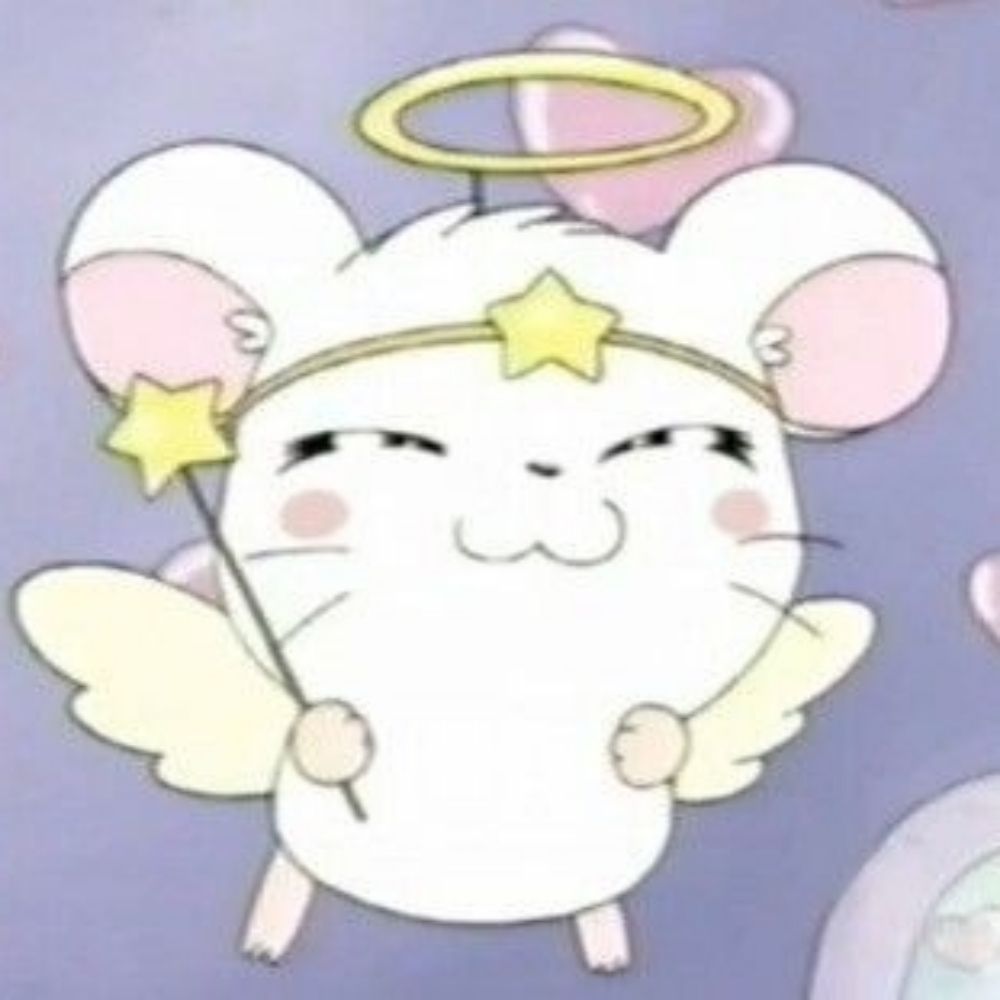 ˚₊‧꒰ mmm ꒱˚*:･｡⋆ﾉ✧