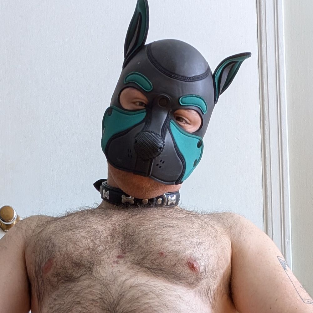 Pup Arlo