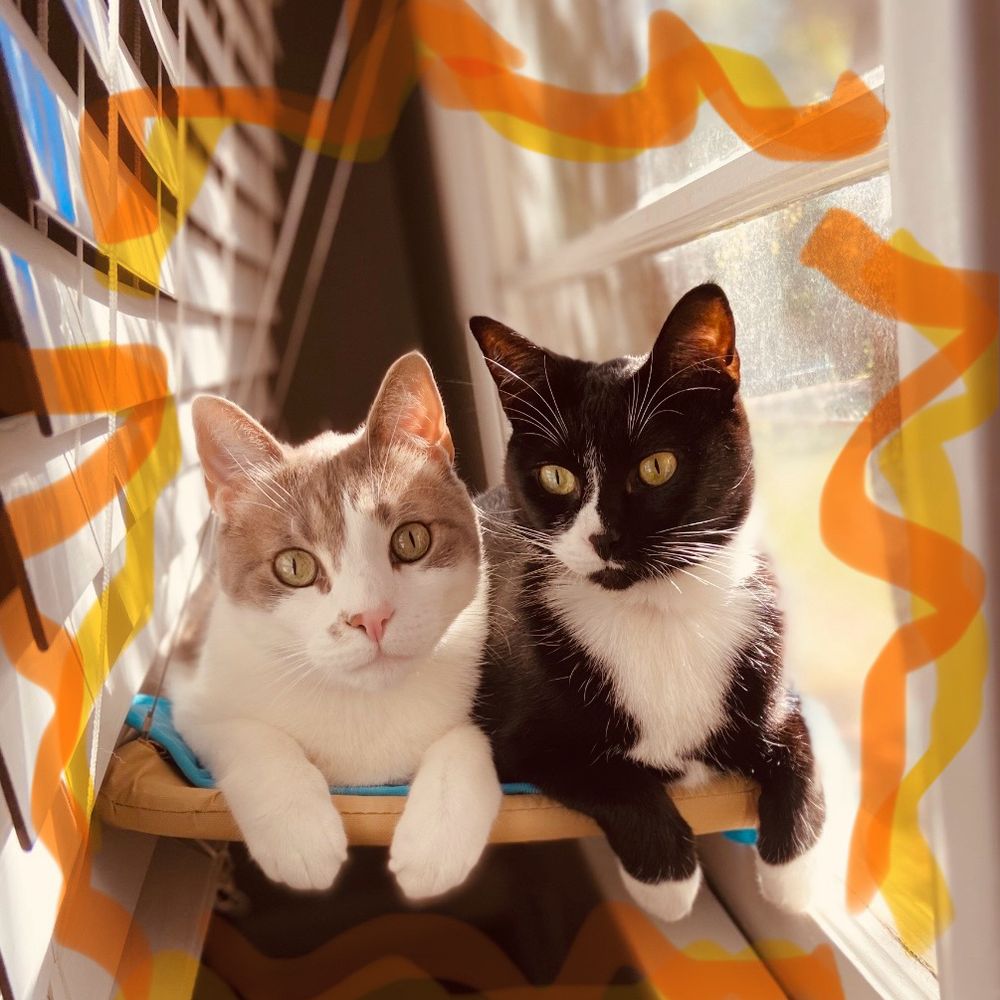 Tucker & Roxie