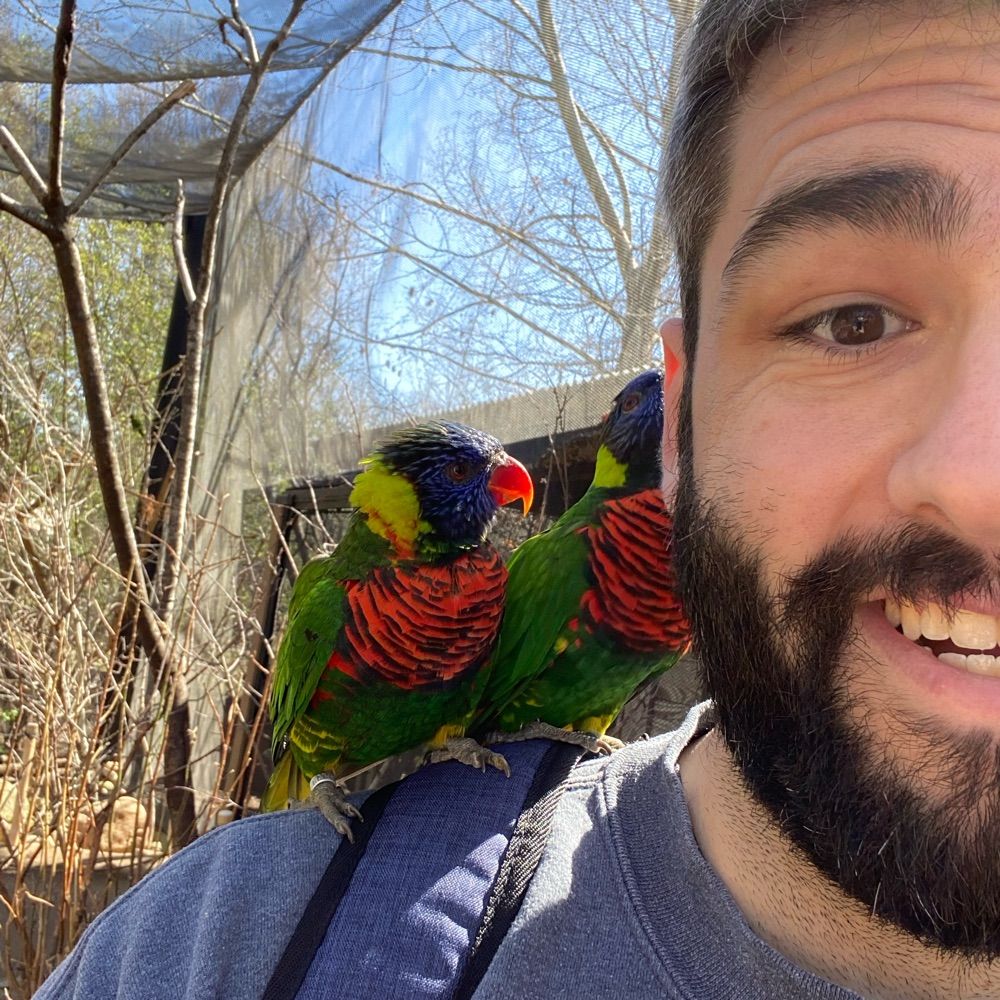 Joey Auer