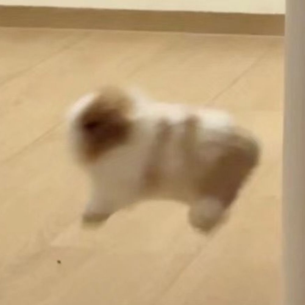 단
