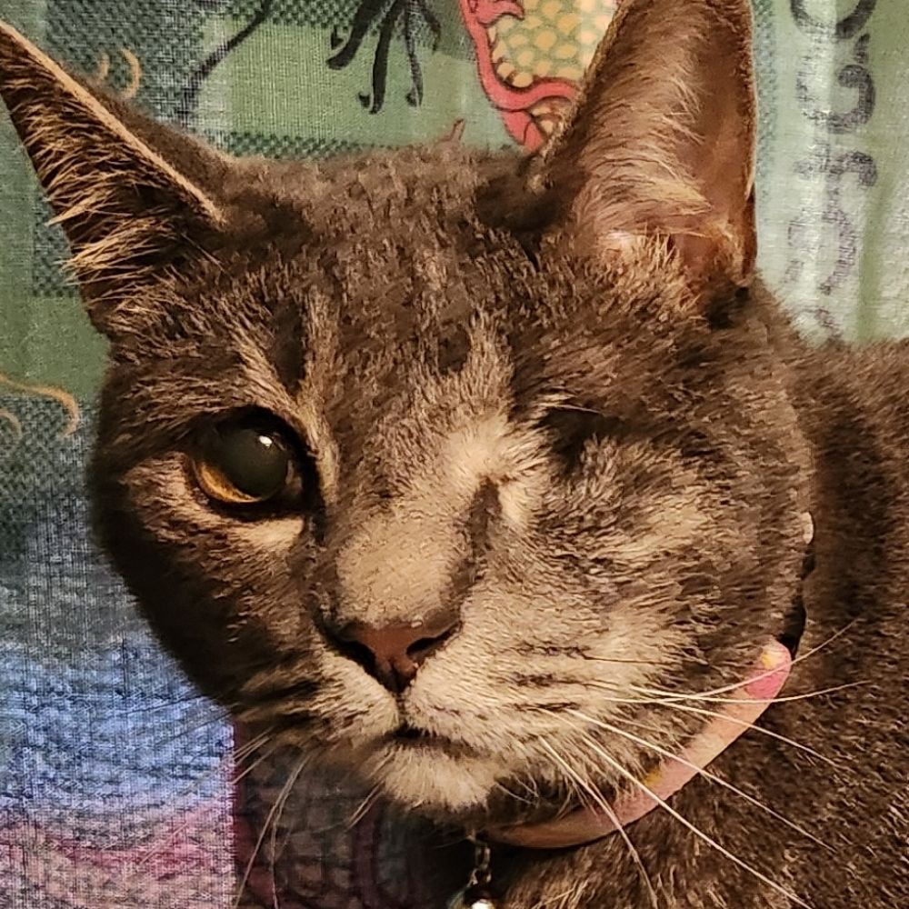 Khaos