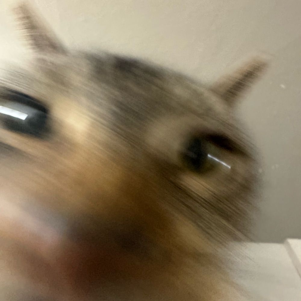 Dan M