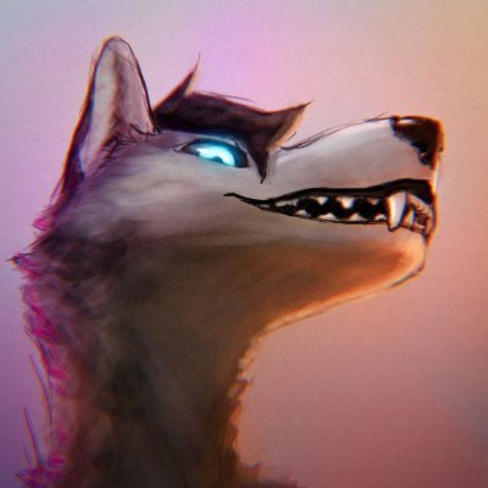 Ko's avatar