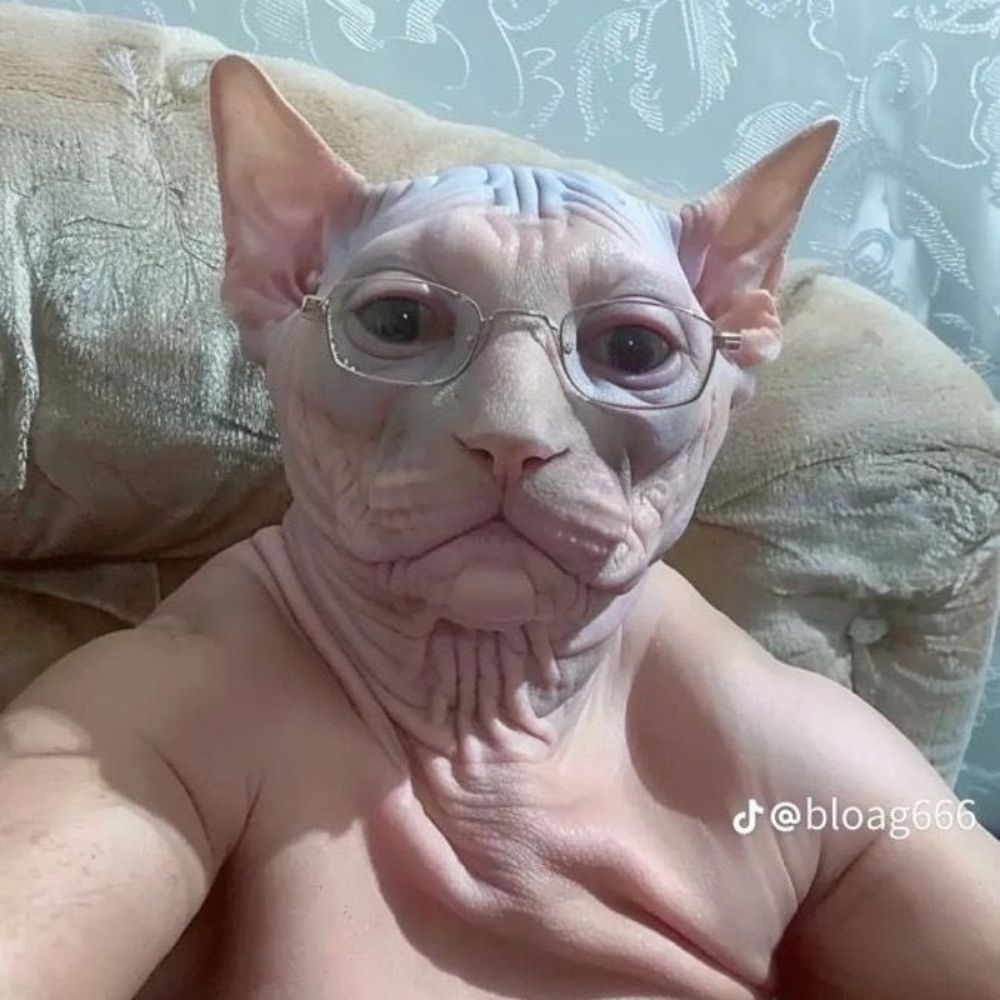 Badulaque 