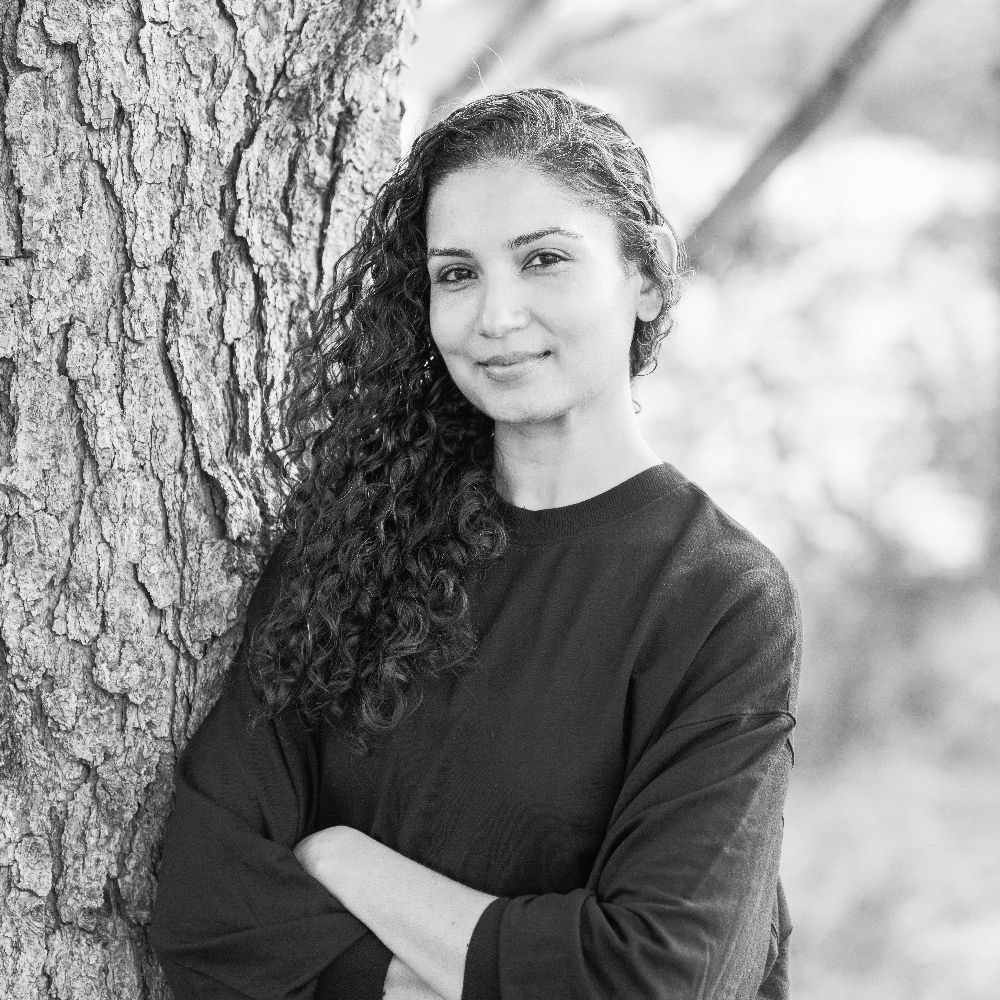 Sana R. Chaudhry
