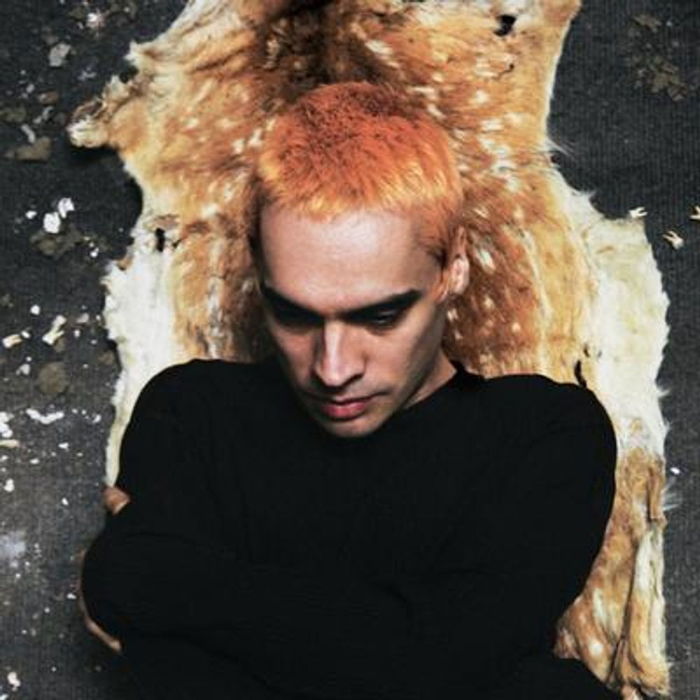 Sega Bodega