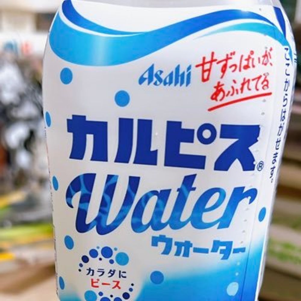 お山に隠居ポメラニアン🍵
