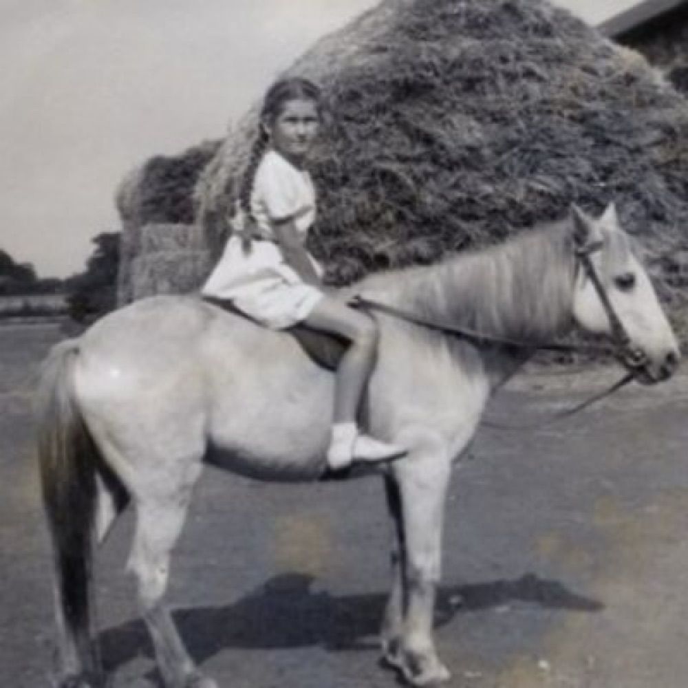 Louisa Turner