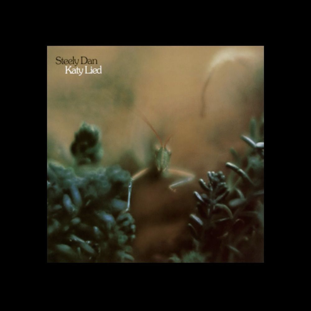 Dandom.com - For, by & About Steely Dan Fans