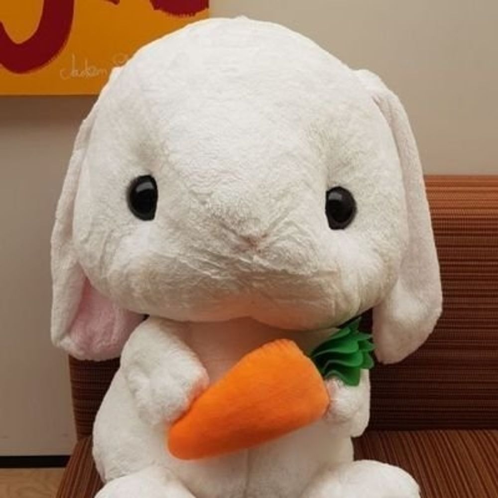 林씨 가문 ✿