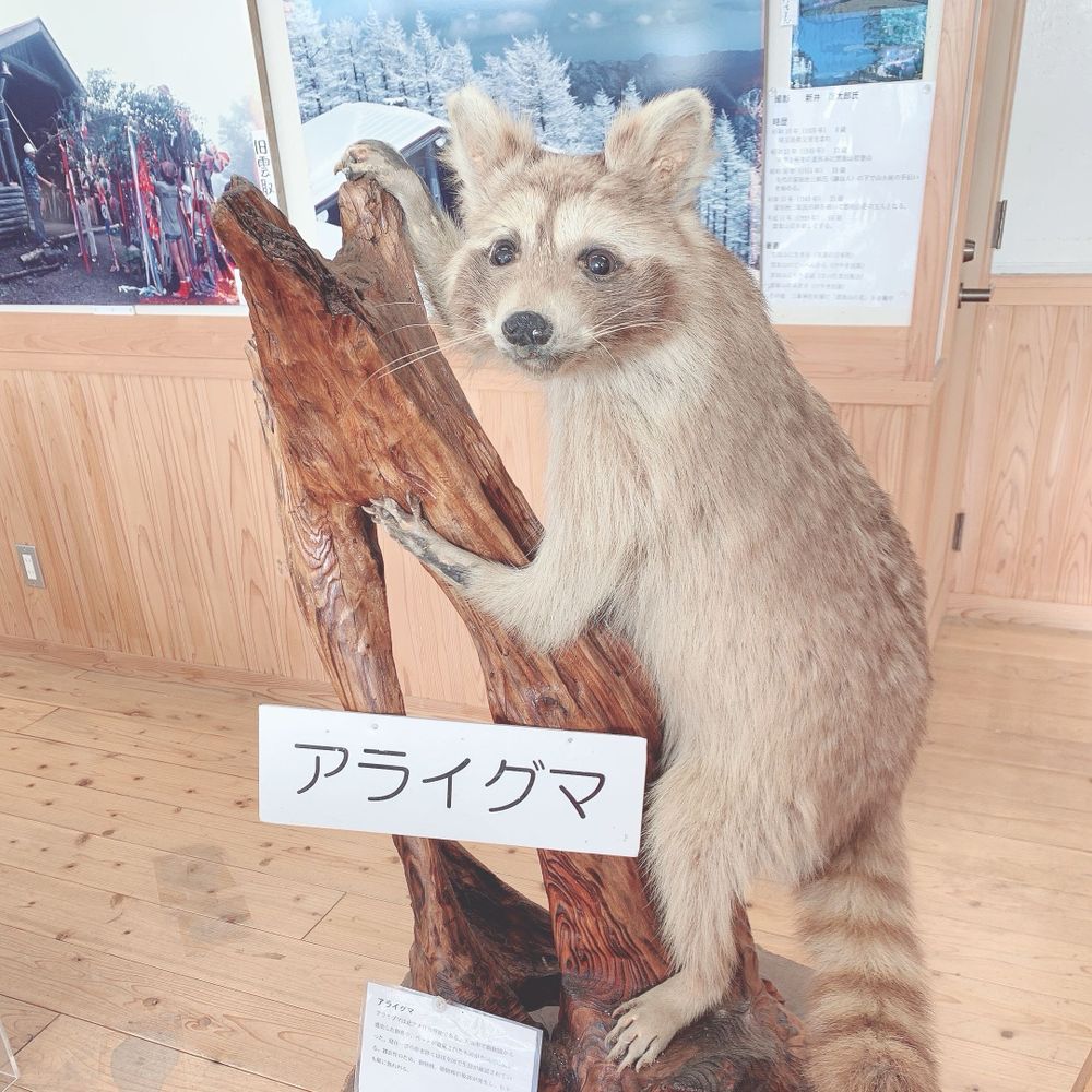 おいも