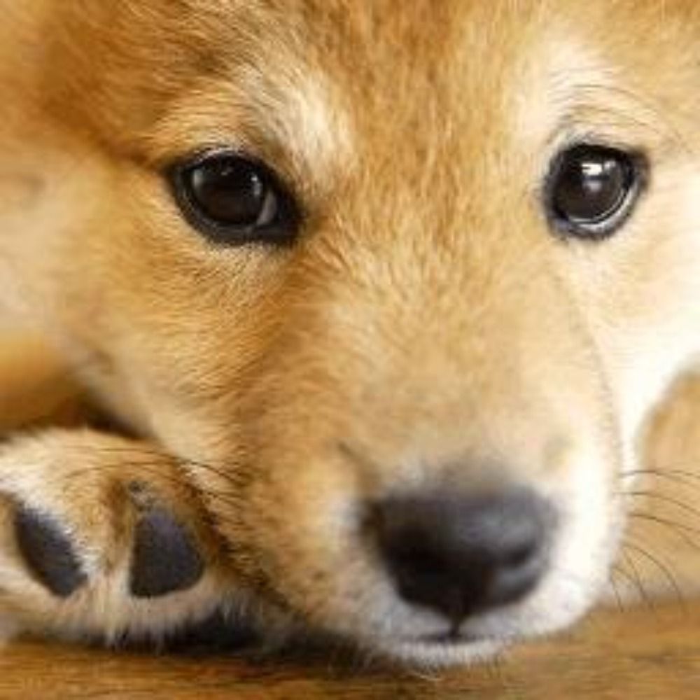 ひろ