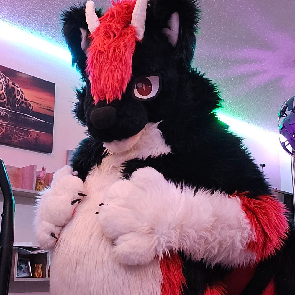 🐉Shelby Dragowolf🐺