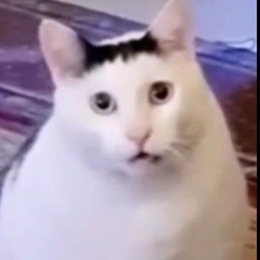 Gin