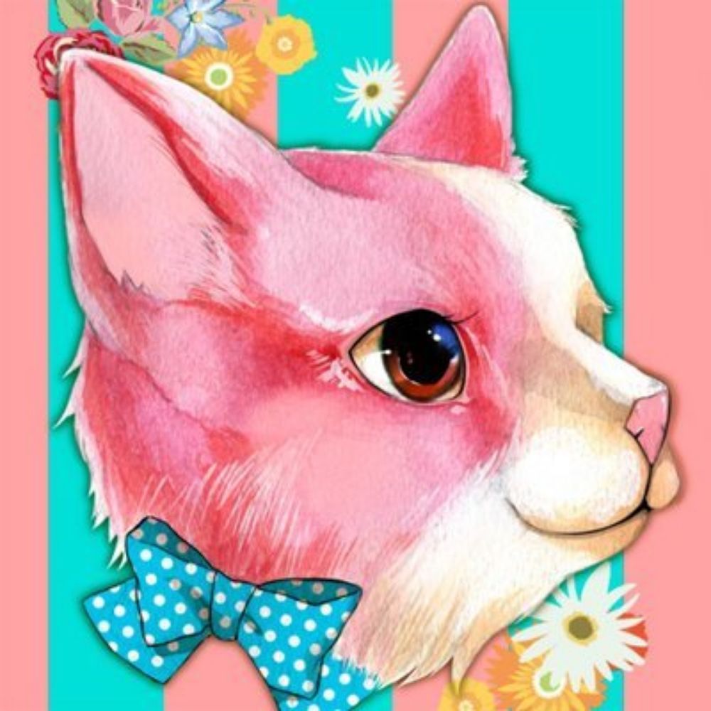 ポケラふじ子🔰