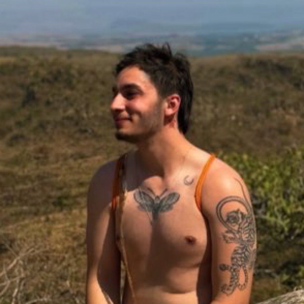 Fala zé