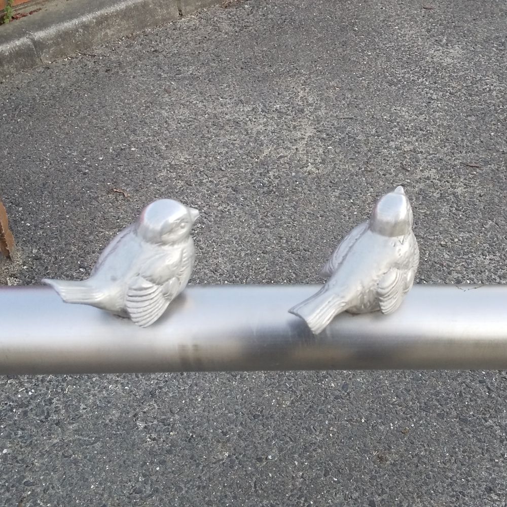 birdskiy