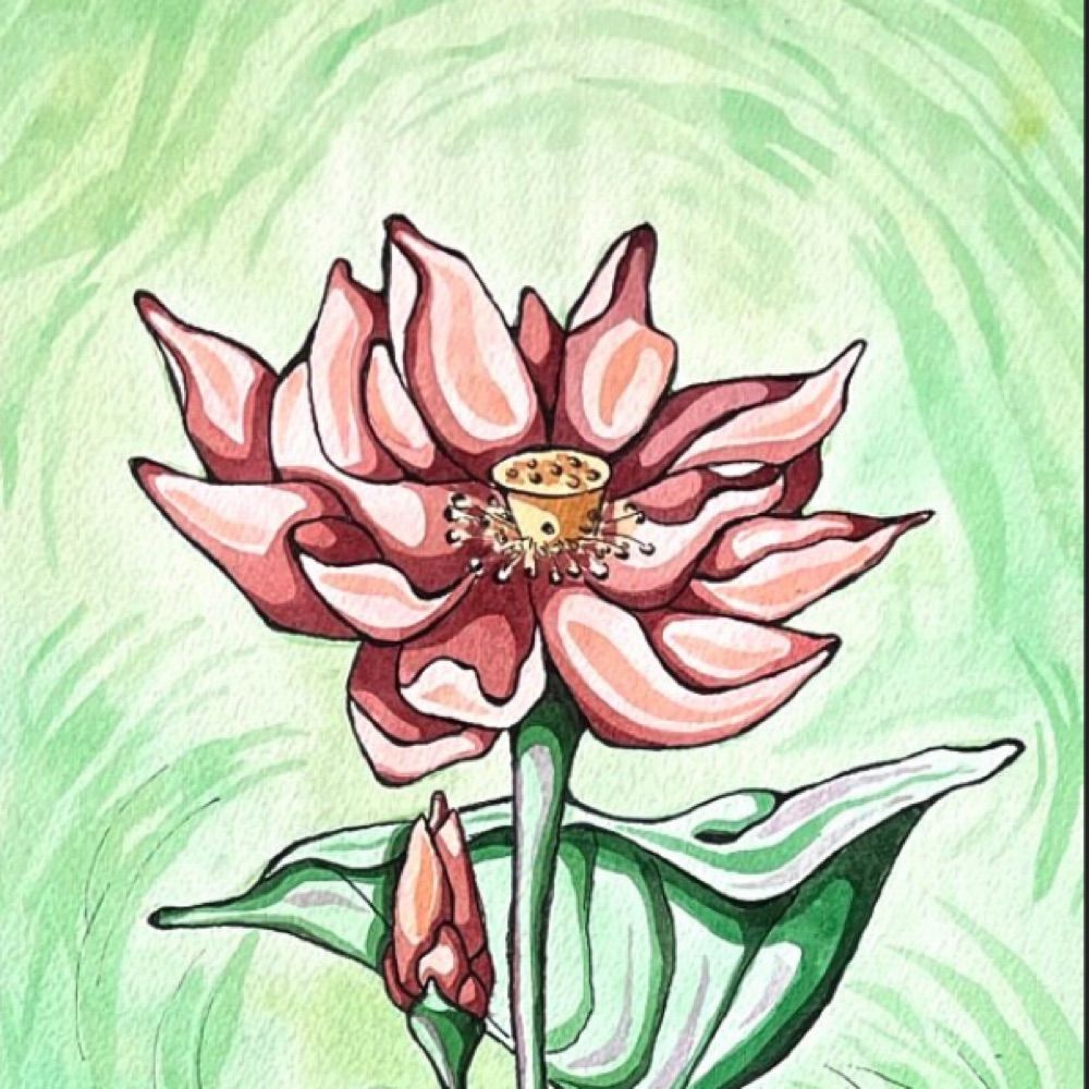 Shaimaa Art Studio