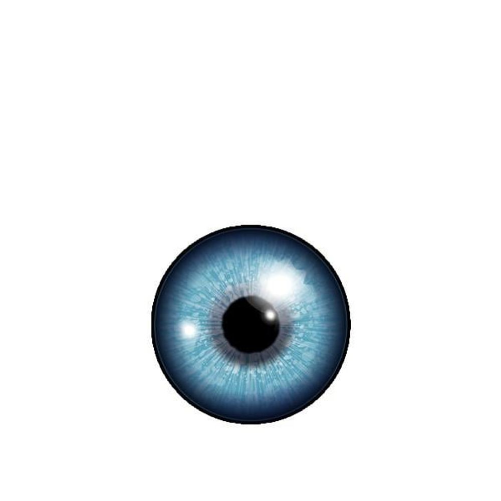 Rex-A-Vision
