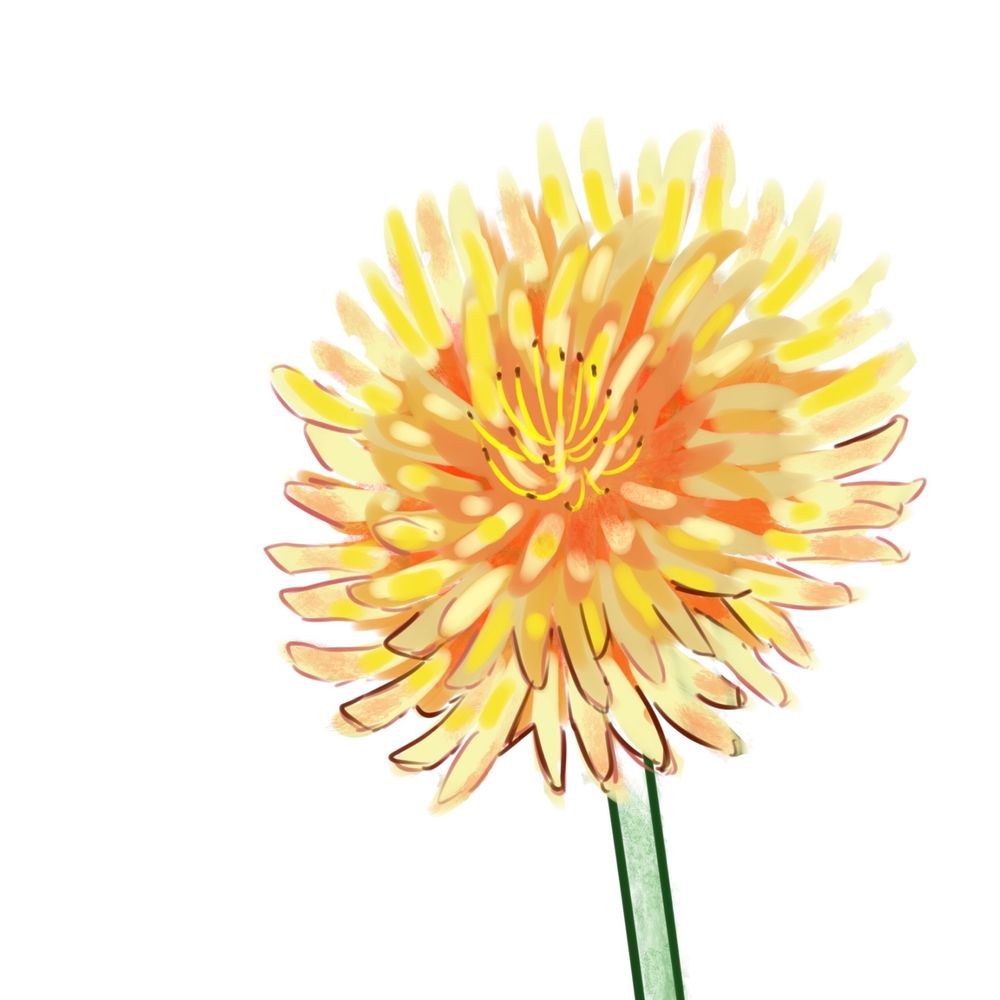 とにに