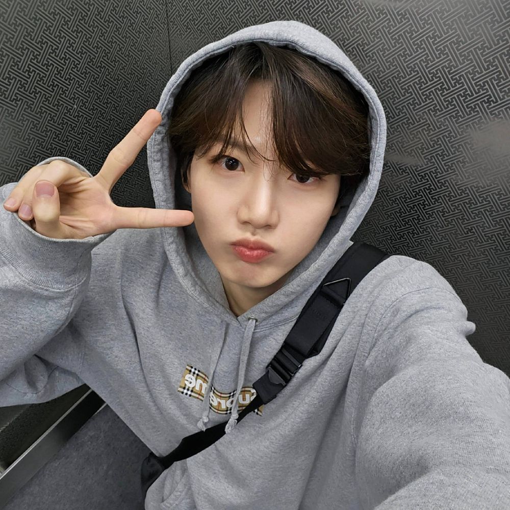 Yan🐨